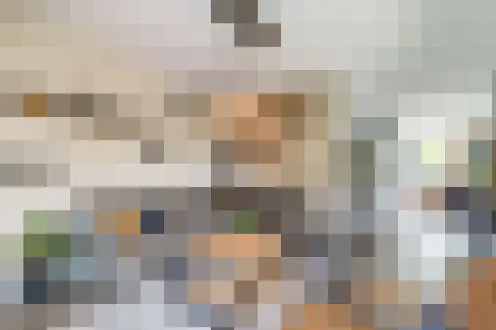 Kokkel 11 Middenmeer thumbnail 11