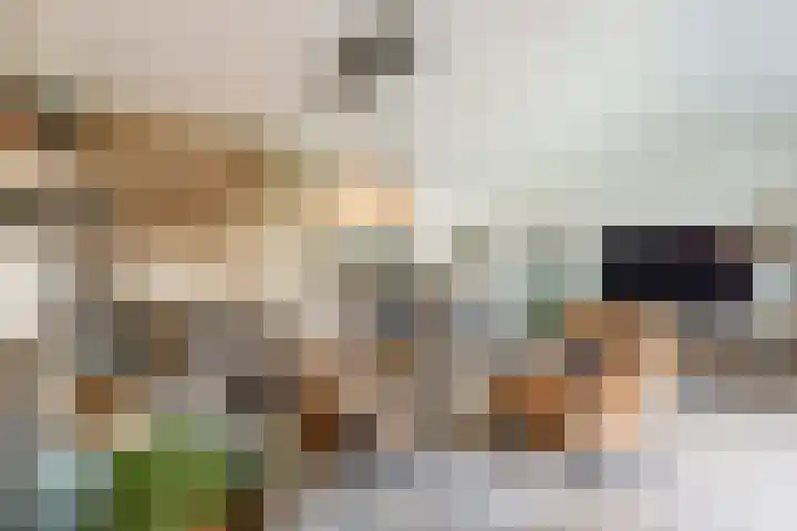 Kokkel 11 Middenmeer thumbnail 15