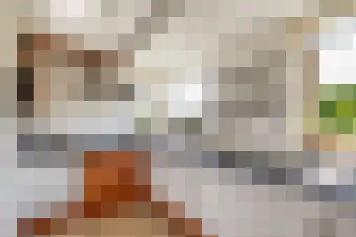 Kokkel 11 Middenmeer thumbnail 20