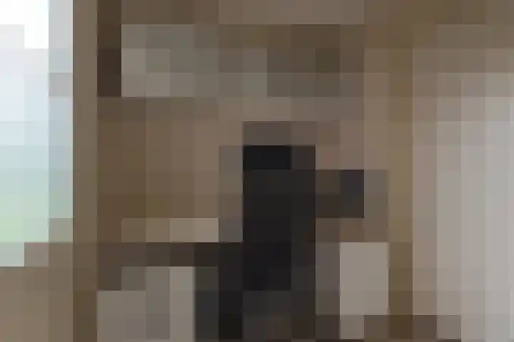 Kokkel 11 Middenmeer thumbnail 22