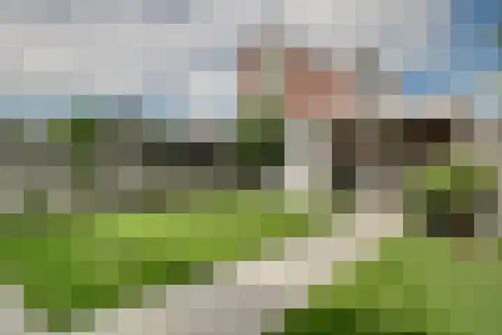 Kokkel 11 Middenmeer thumbnail 35