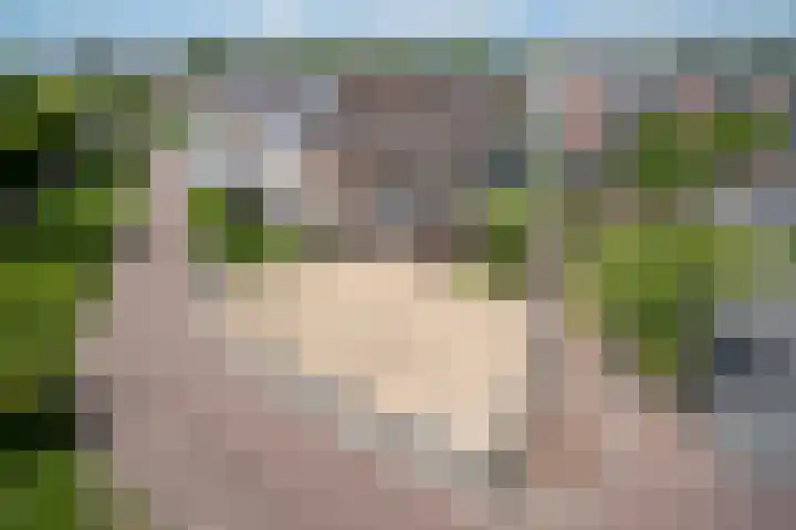 Kokkel 11 Middenmeer thumbnail 41