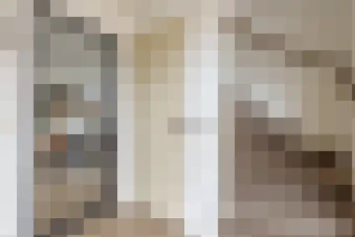 Kokkel 11 Middenmeer thumbnail 9