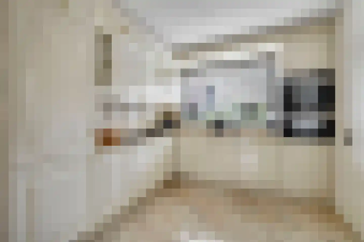 Kokkel 19 Hellevoetsluis thumbnail 16