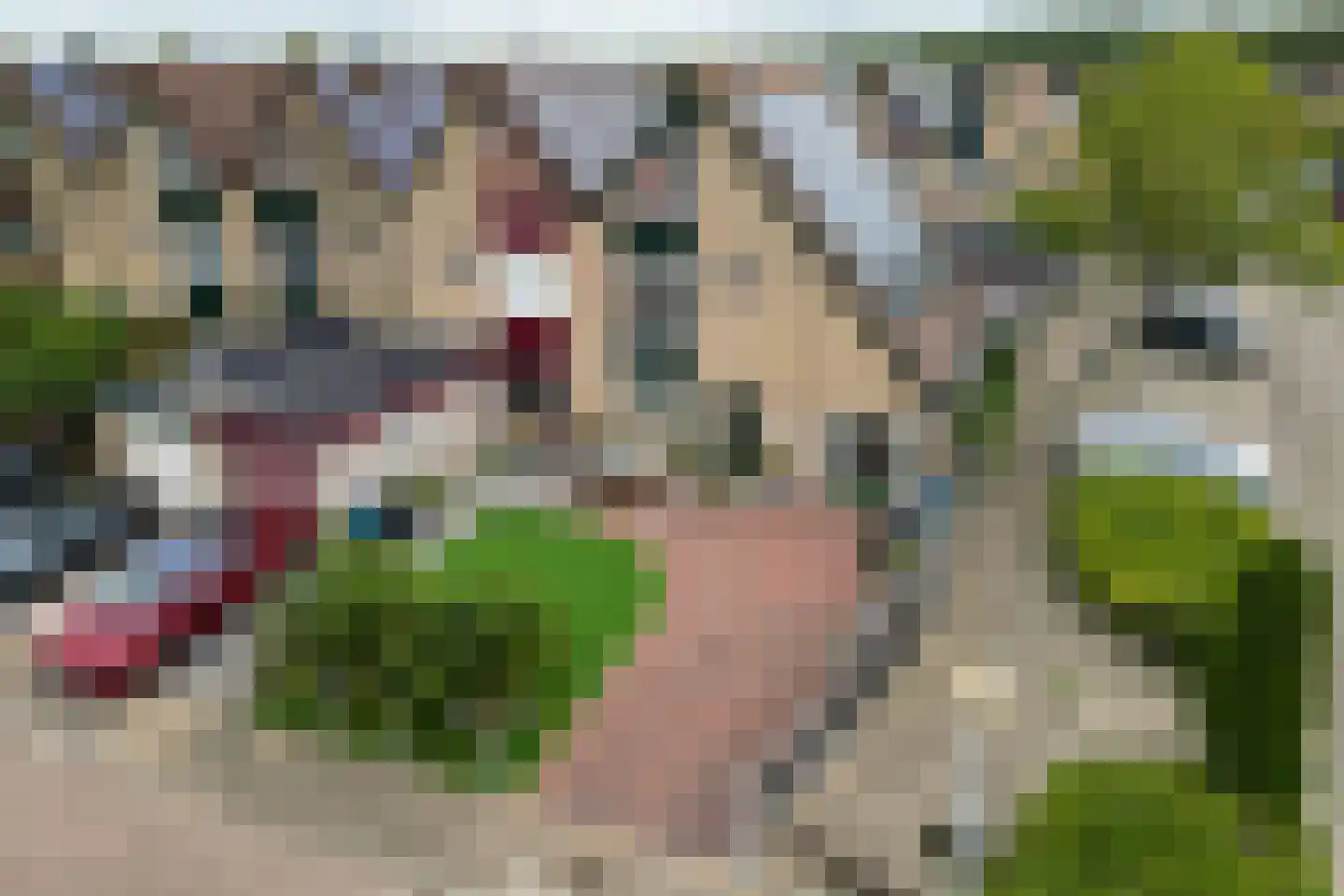 Kokkel 19 Hellevoetsluis thumbnail 55