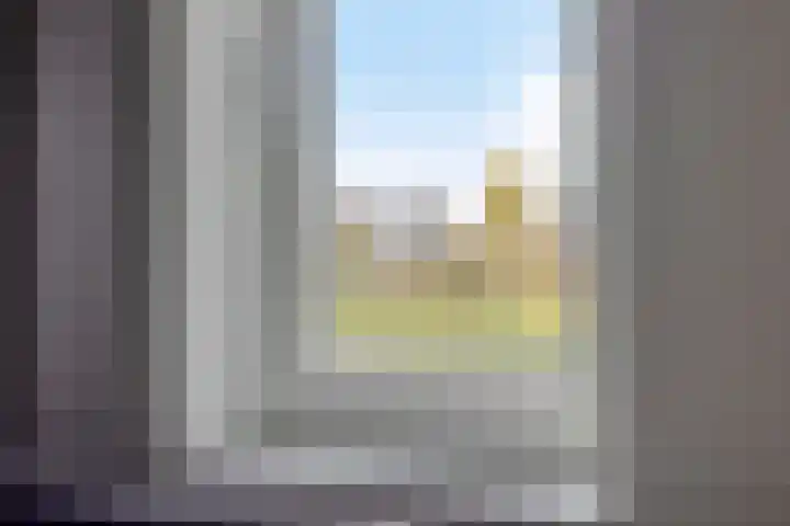 Kokkel 3 Bergen op Zoom thumbnail 11