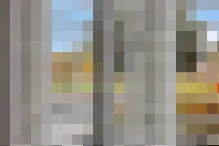 Kokkel 3 Bergen op Zoom thumbnail 12
