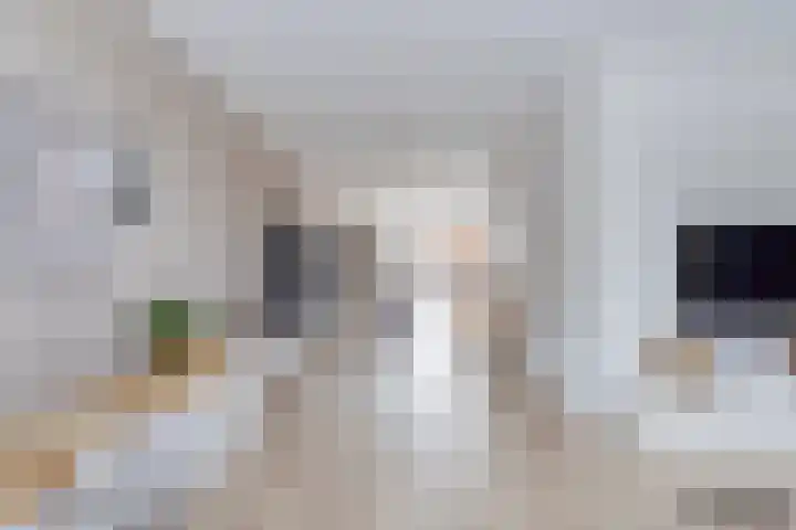 Kokkel 3 Bergen op Zoom thumbnail 13