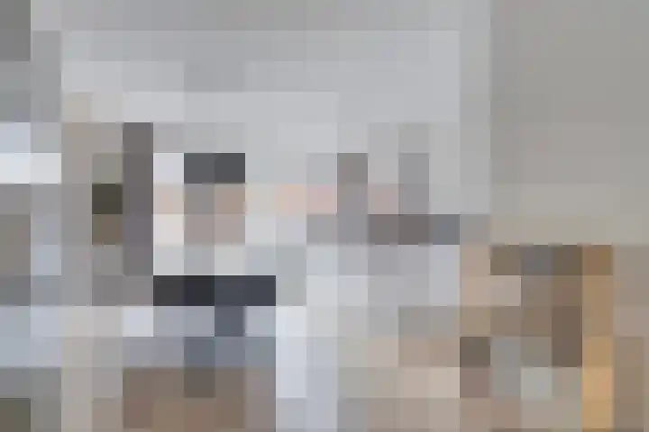 Kokkel 3 Bergen op Zoom thumbnail 14