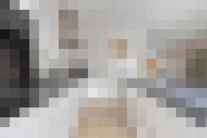 Kokkel 3 Bergen op Zoom thumbnail 16