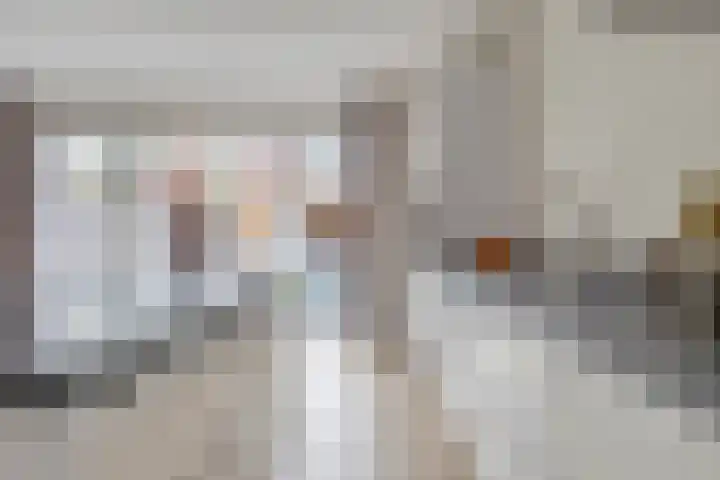 Kokkel 3 Bergen op Zoom thumbnail 18