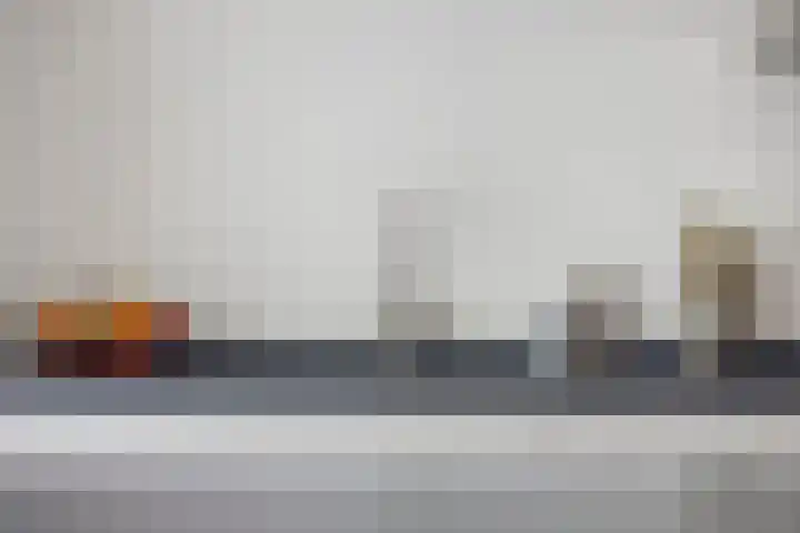 Kokkel 3 Bergen op Zoom thumbnail 19