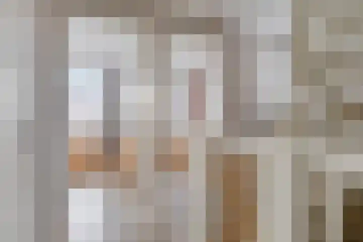 Kokkel 3 Bergen op Zoom thumbnail 21