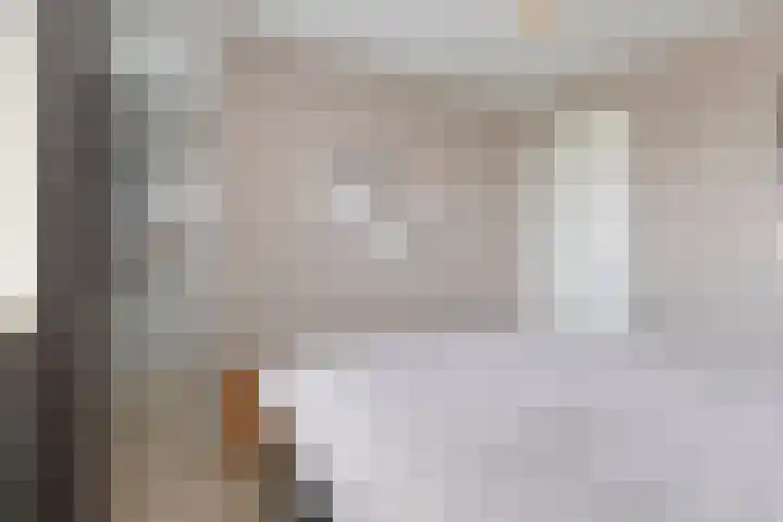 Kokkel 3 Bergen op Zoom thumbnail 23