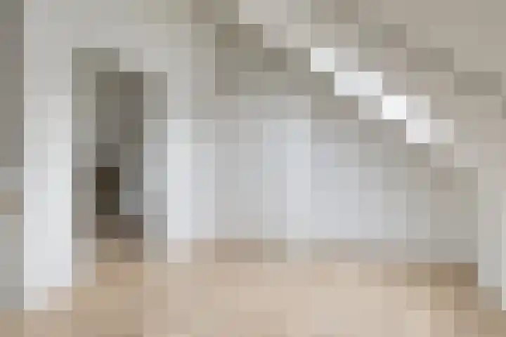 Kokkel 3 Bergen op Zoom thumbnail 30