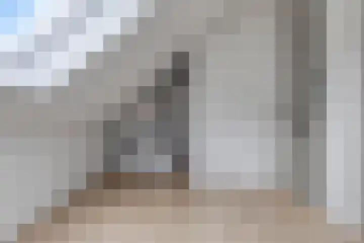 Kokkel 3 Bergen op Zoom thumbnail 31