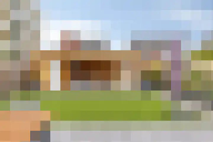 Kokkel 3 Bergen op Zoom thumbnail 34