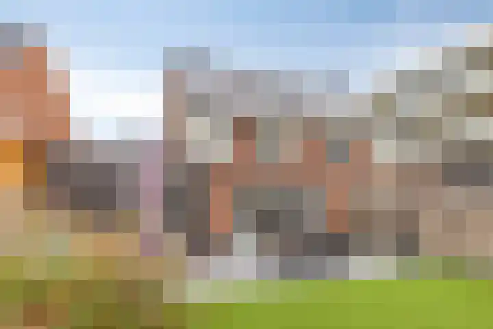 Kokkel 3 Bergen op Zoom thumbnail 35