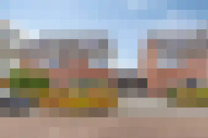 Kokkel 3 Bergen op Zoom thumbnail 37