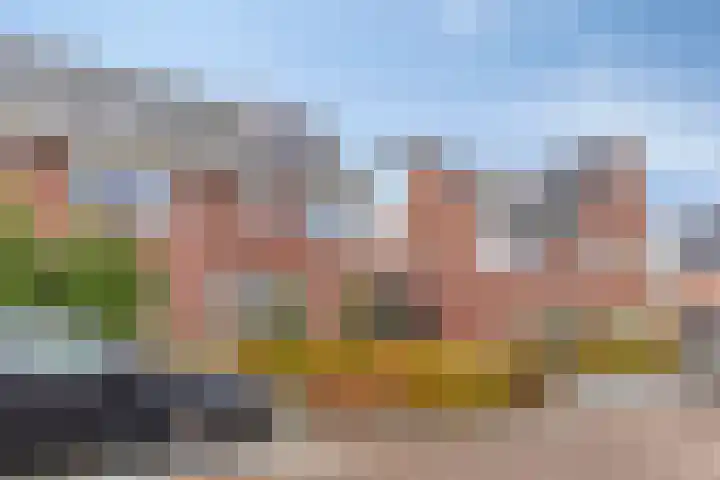 Kokkel 3 Bergen op Zoom thumbnail 38
