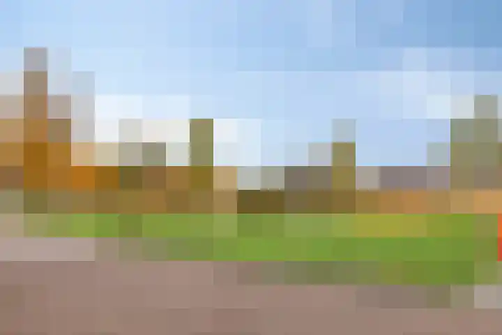 Kokkel 3 Bergen op Zoom thumbnail 39