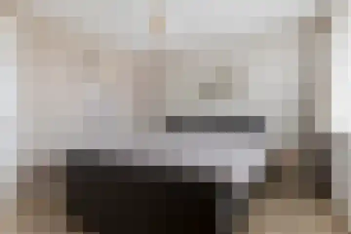 Kokkel 3 Bergen op Zoom thumbnail 4