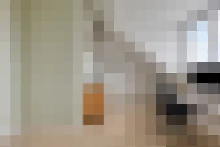 Kokkel 3 Bergen op Zoom thumbnail 6