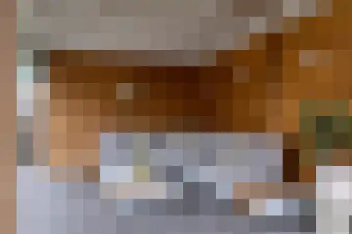 Kokkel 3 Bergen op Zoom thumbnail 7