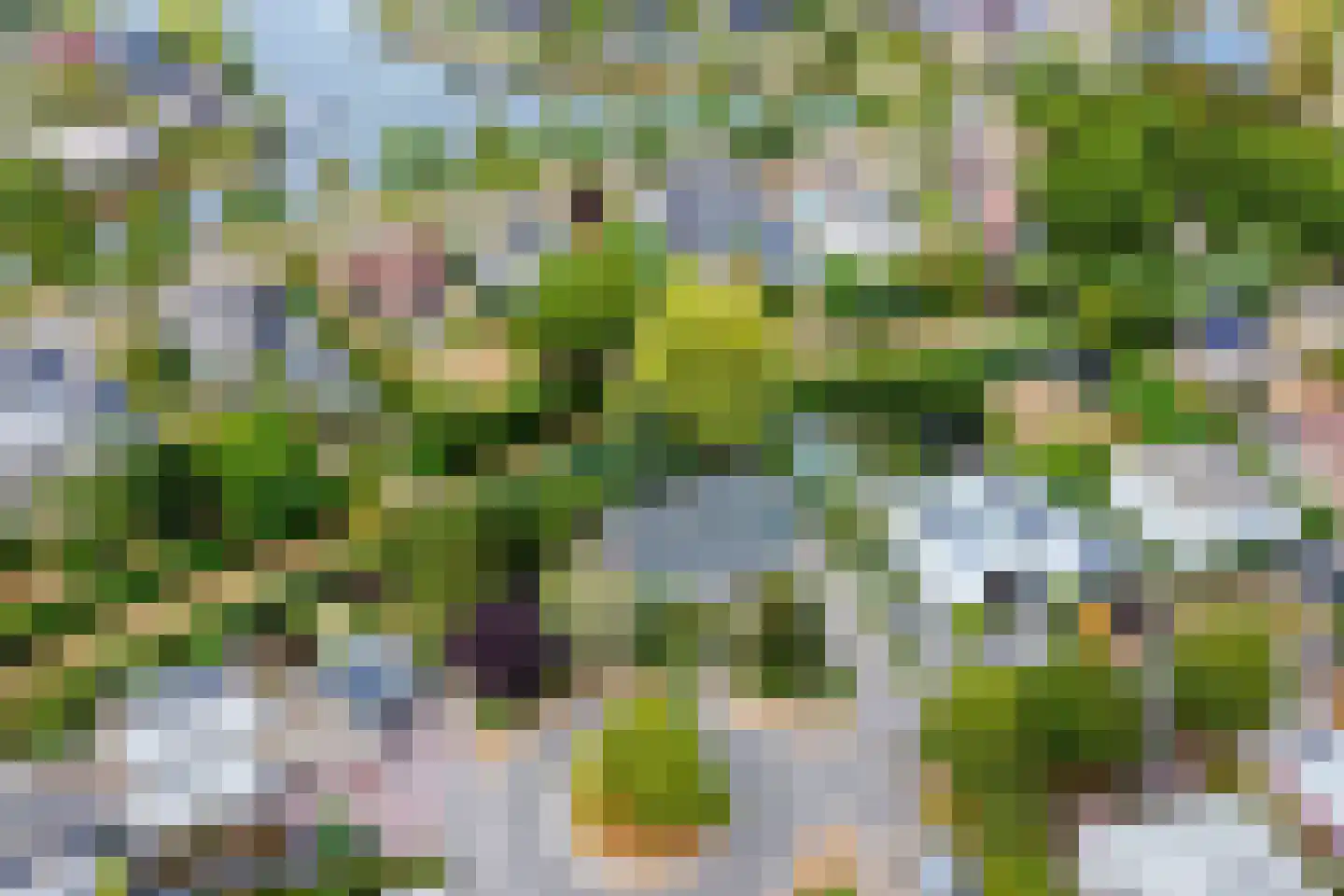 Kokkelbank 6 Goes thumbnail 12