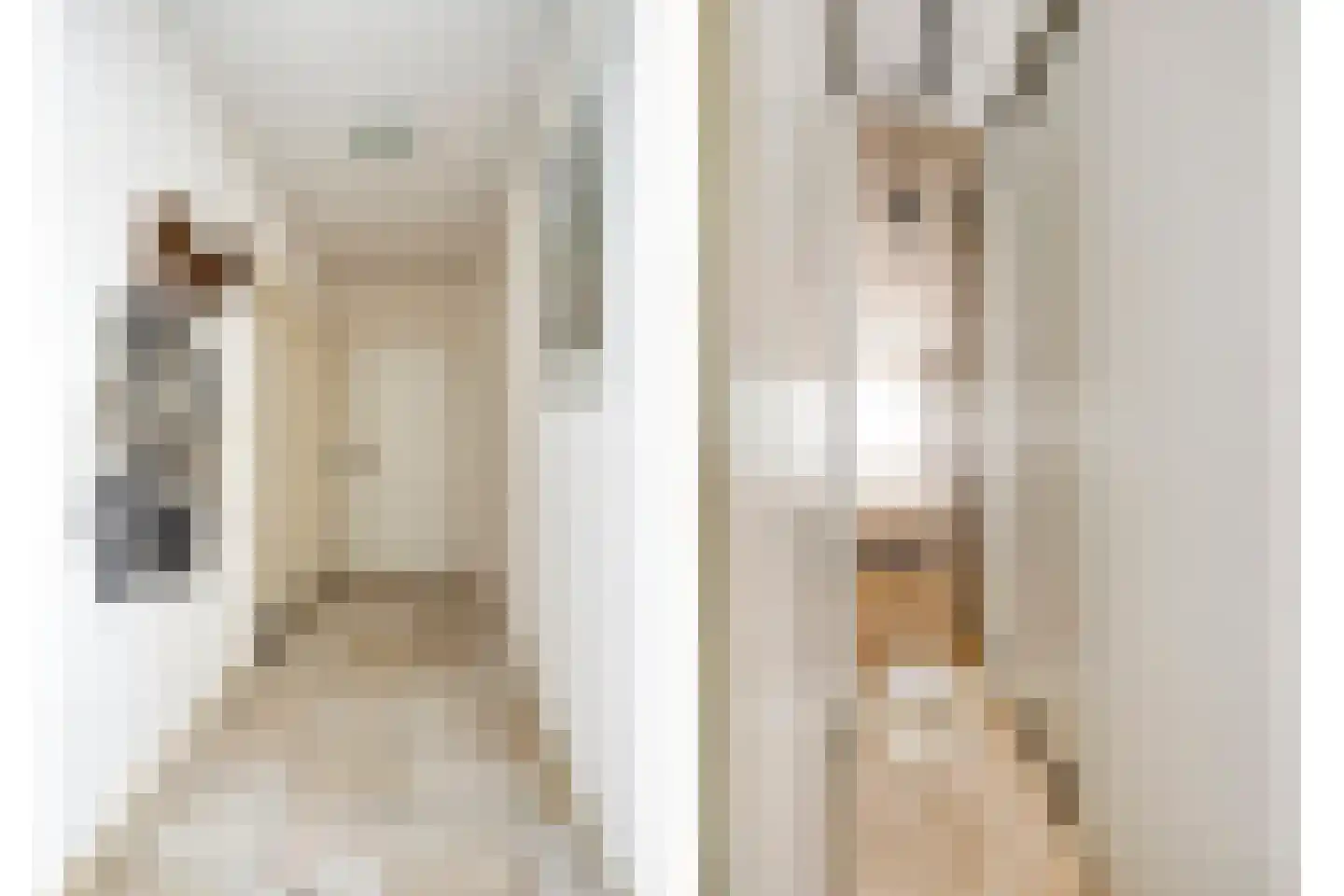 Kokkelbank 6 Goes thumbnail 22