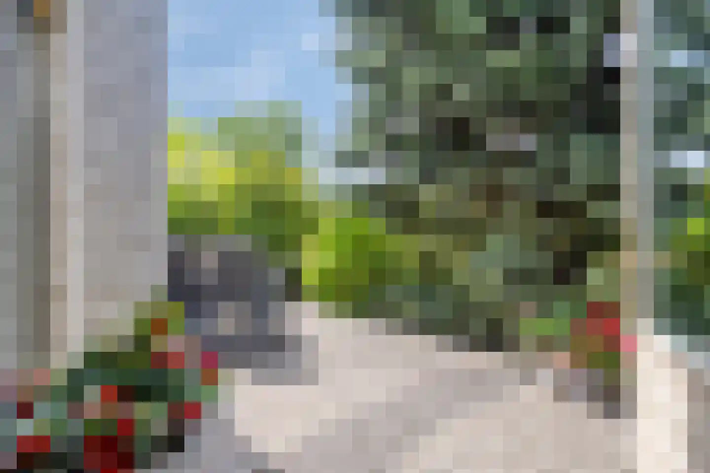 Kokkelbank 6 Goes thumbnail 31