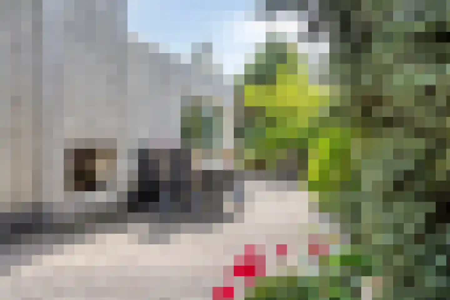 Kokkelbank 6 Goes thumbnail 32