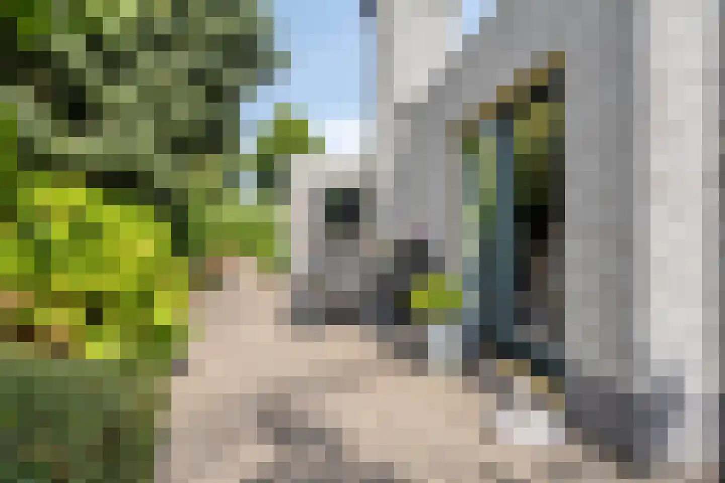 Kokkelbank 6 Goes thumbnail 33
