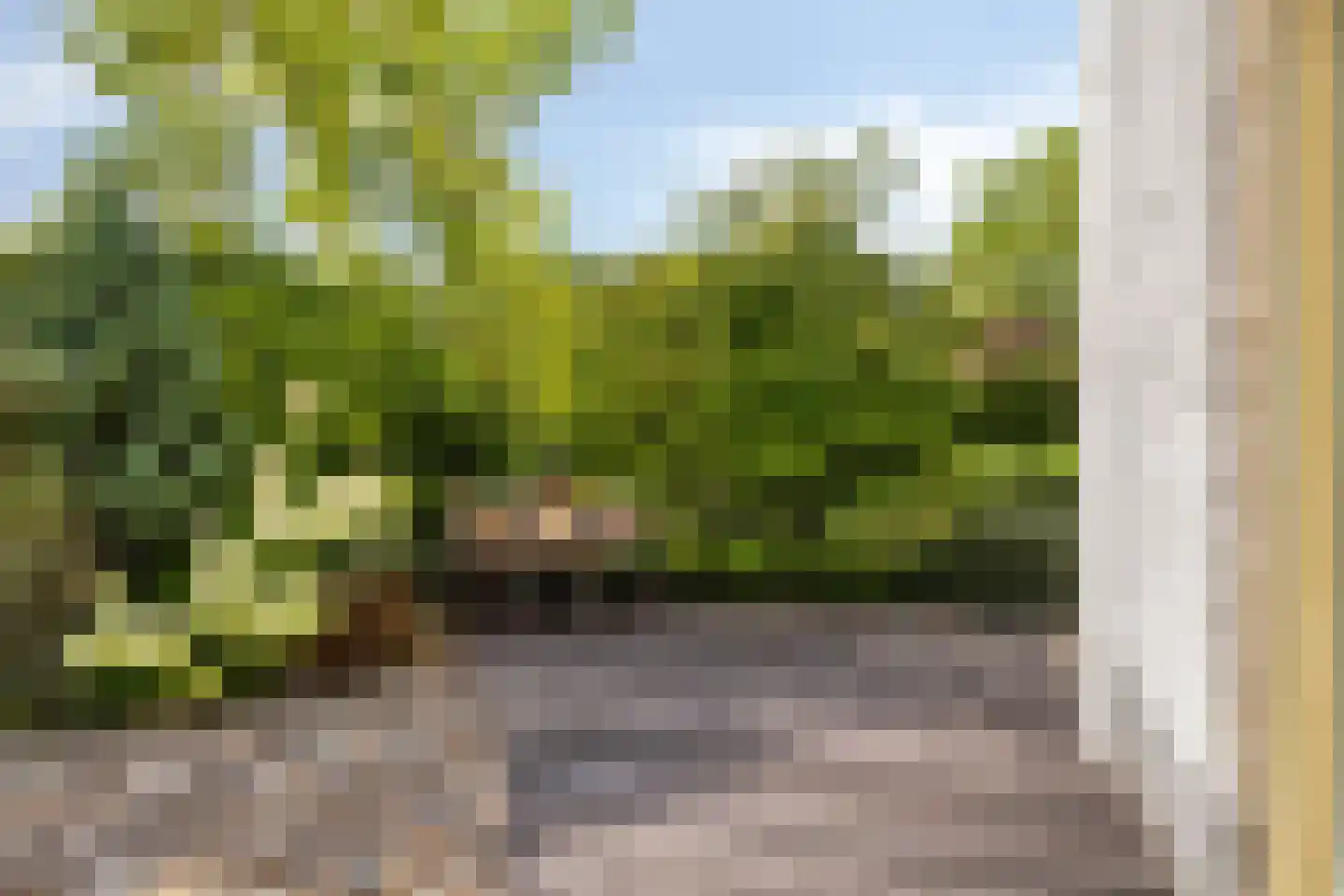 Kokkelbank 6 Goes thumbnail 34
