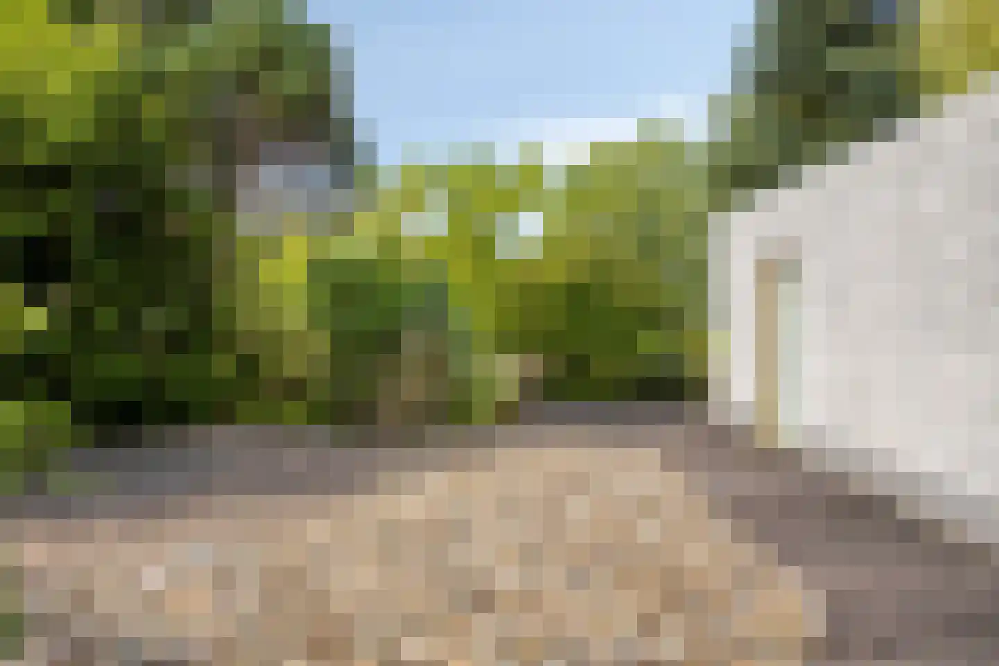 Kokkelbank 6 Goes thumbnail 35