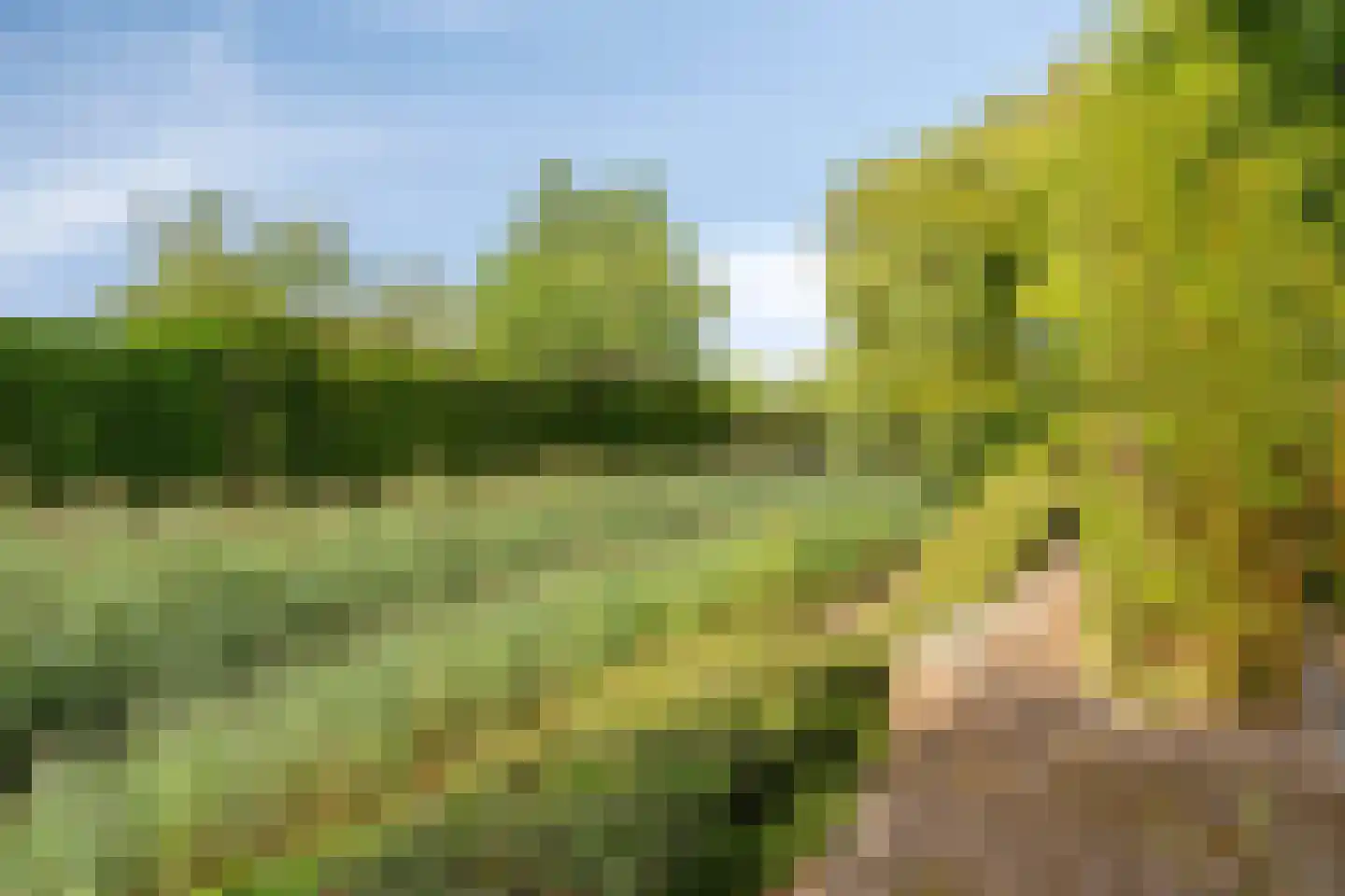 Kokkelbank 6 Goes thumbnail 36