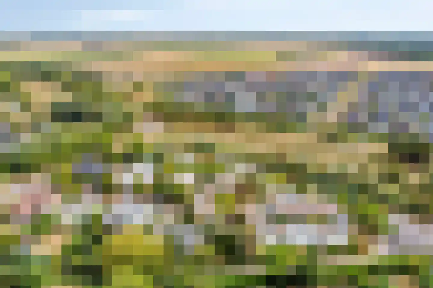 Kokkelbank 6 Goes thumbnail 41