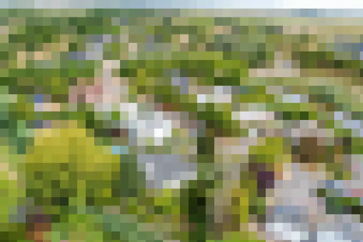 Kokkelbank 6 Goes thumbnail 42