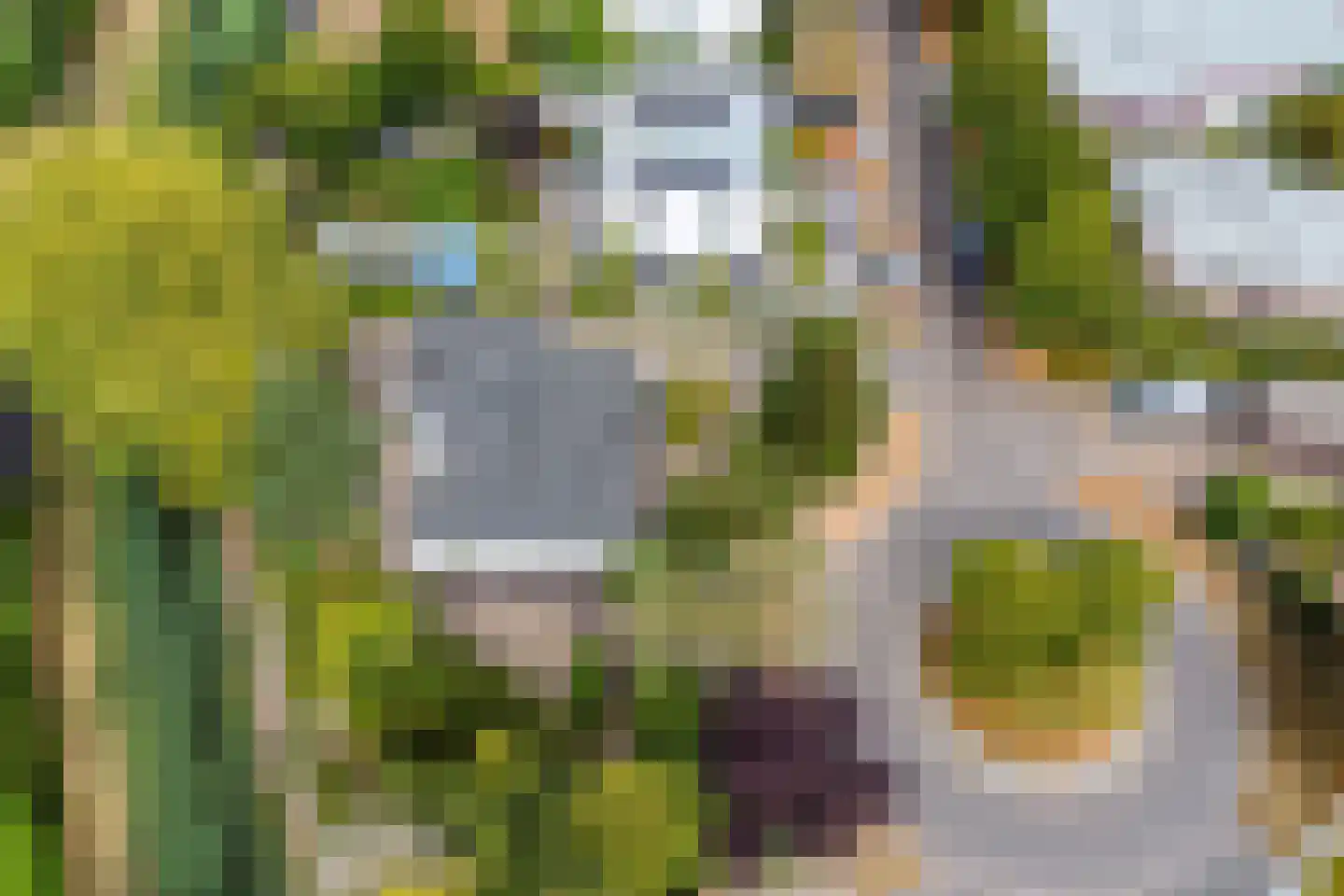 Kokkelbank 6 Goes thumbnail 45