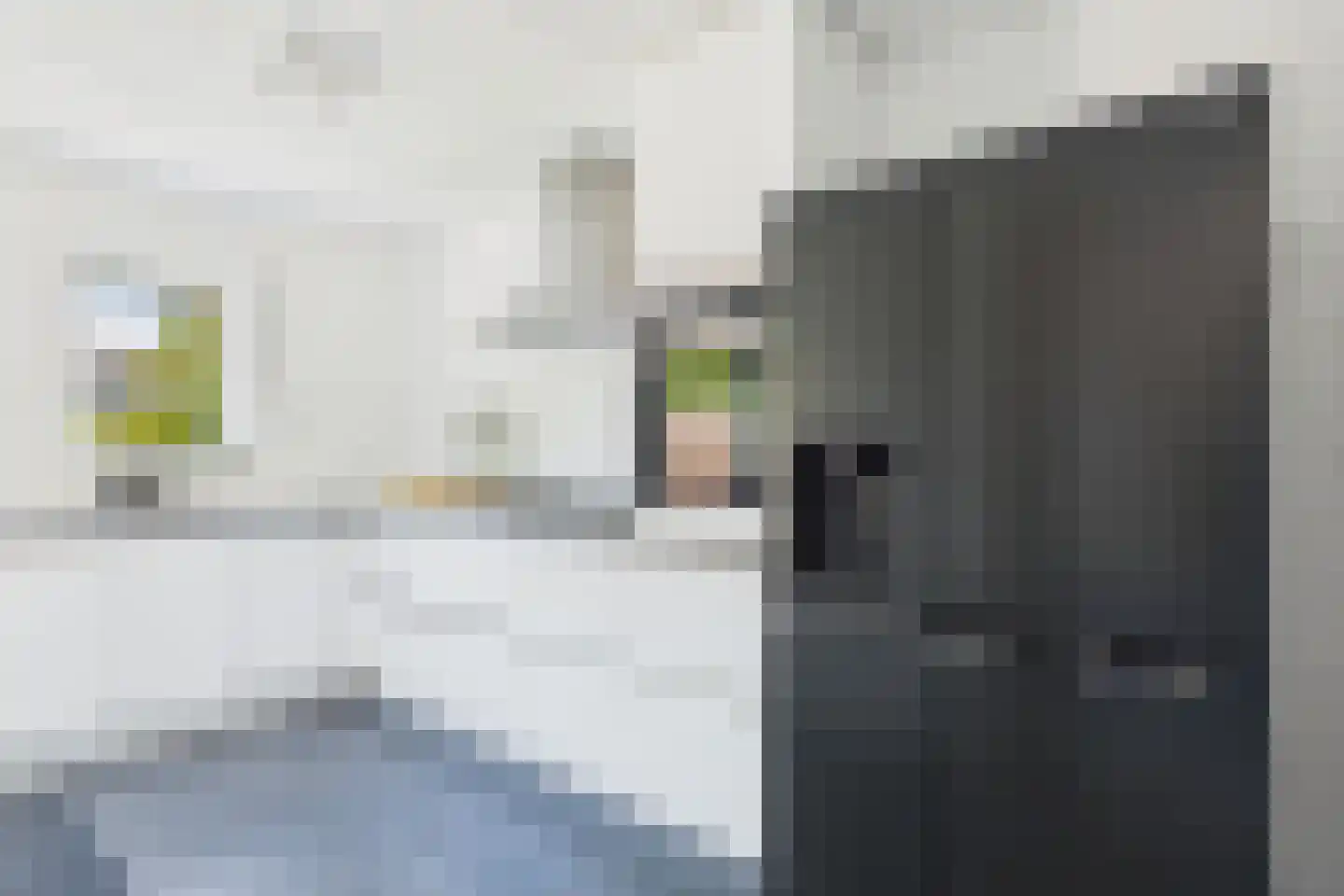 Kokkeldreef 3 Terneuzen thumbnail 19