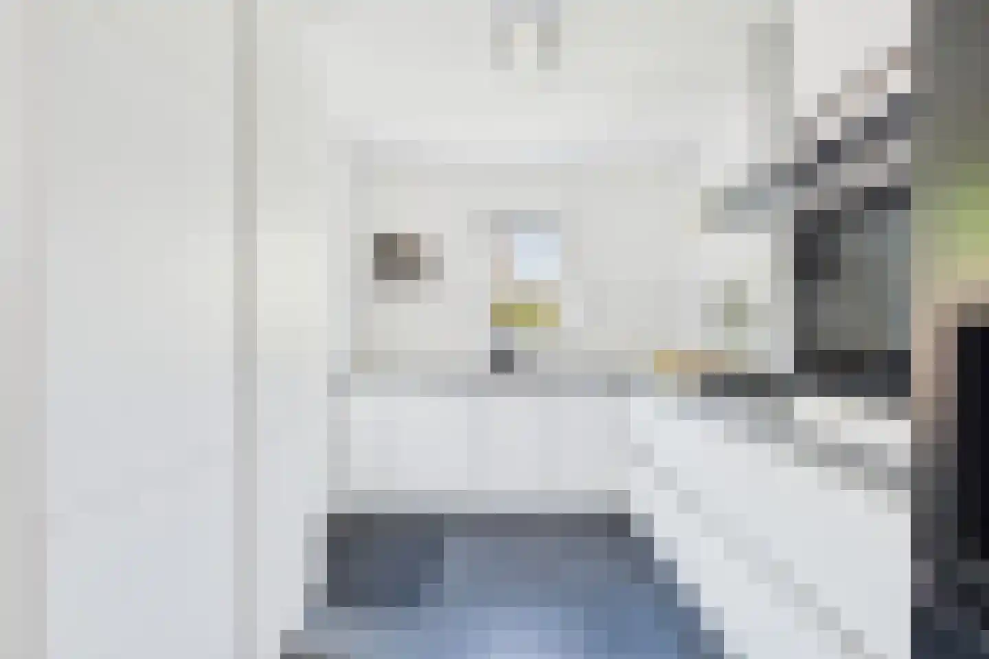 Kokkeldreef 3 Terneuzen thumbnail 20
