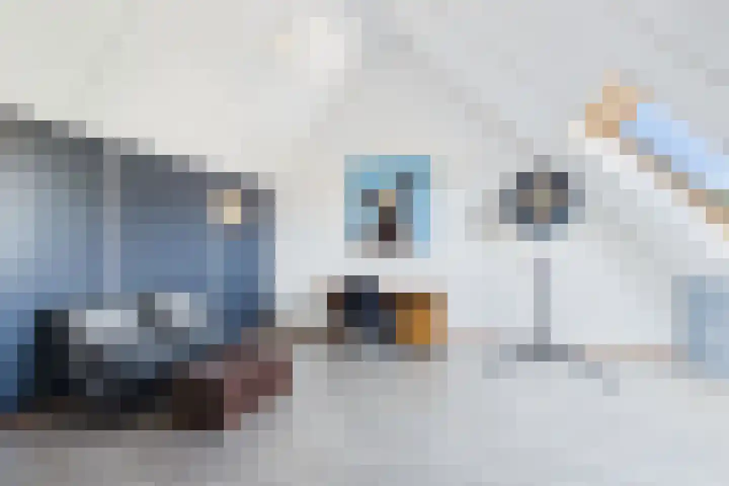 Kokkeldreef 3 Terneuzen thumbnail 36