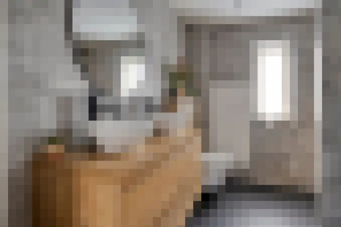 Kokkeldreef 5 Terneuzen thumbnail 19