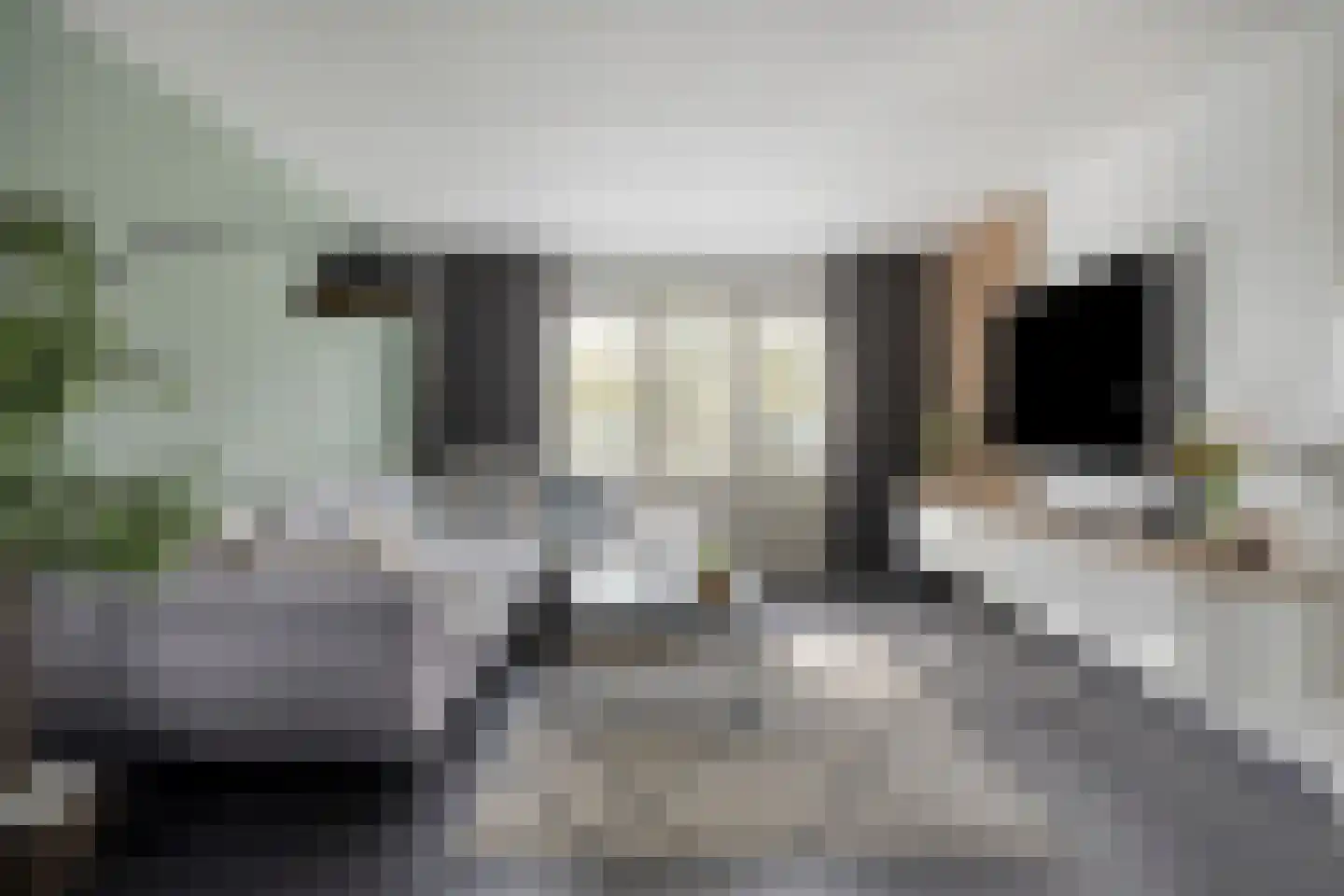 Kokkeldreef 5 Terneuzen thumbnail 7
