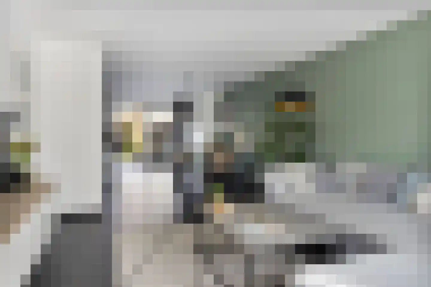 Kokkeldreef 5 Terneuzen thumbnail 8