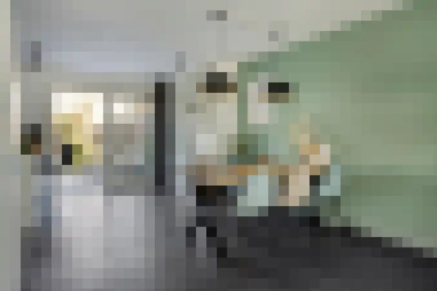 Kokkeldreef 5 Terneuzen thumbnail 9