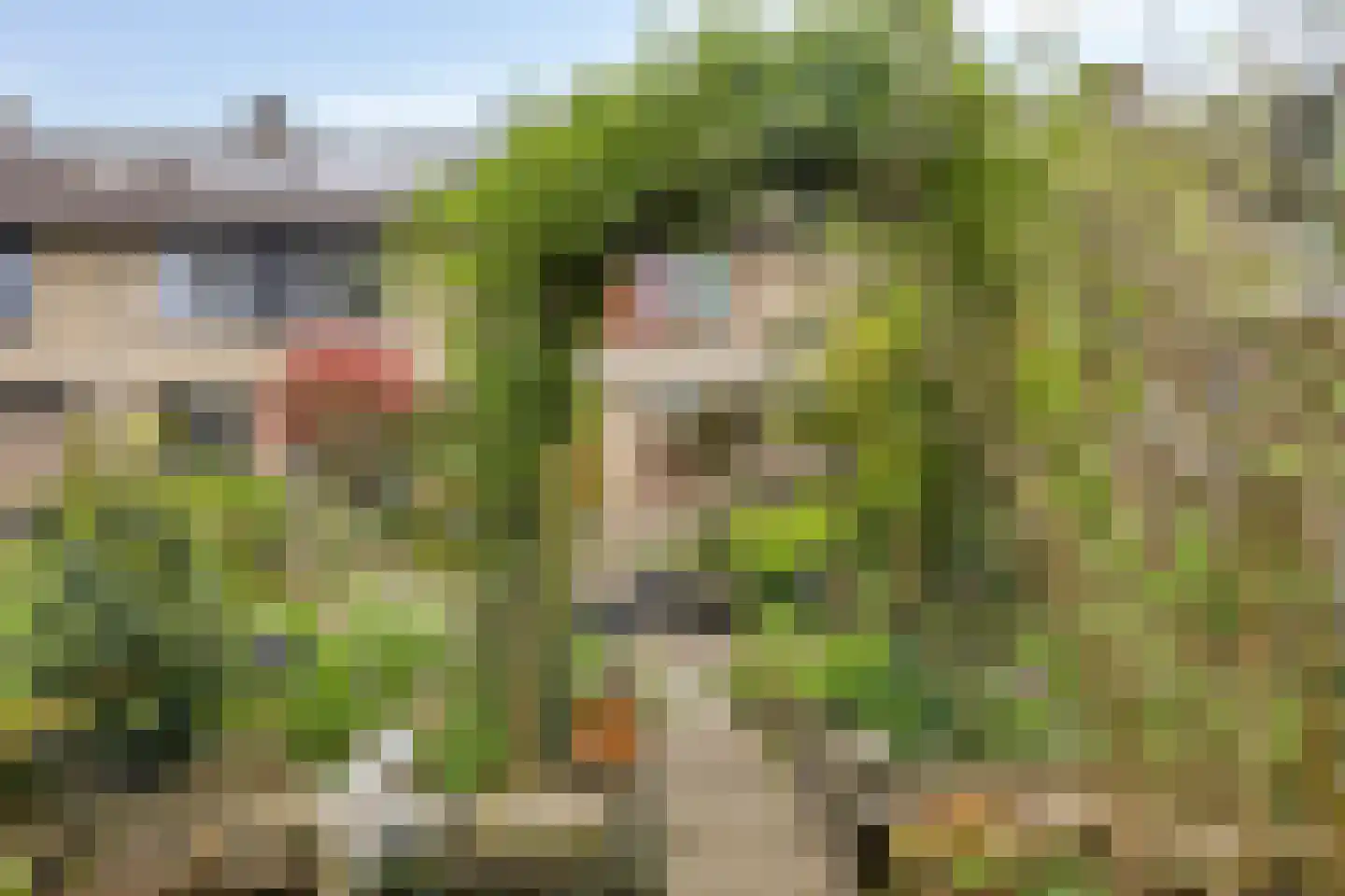 Kokkelmanlanden 107 Enschede thumbnail 35