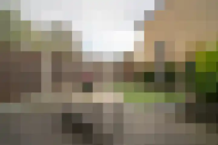 Kokkelmanlanden 36 Enschede thumbnail 29