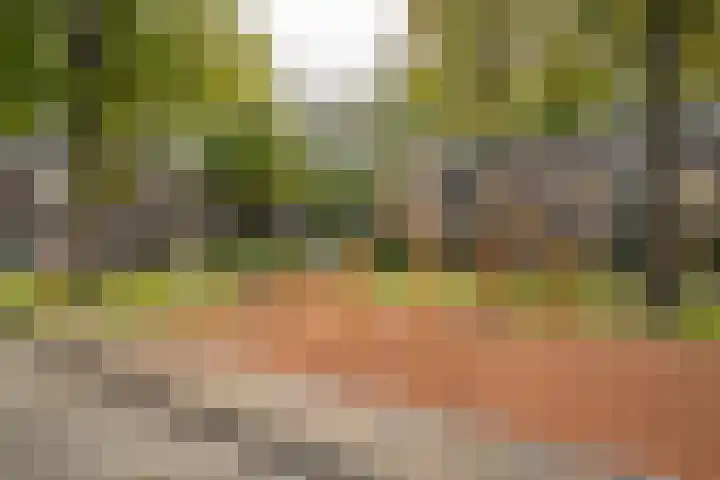 Kokkelmanlanden 36 Enschede thumbnail 33