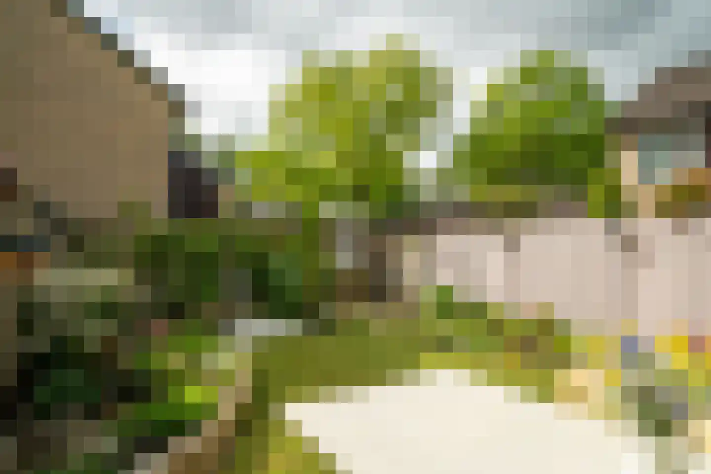 Kokkelmanlanden 40 Enschede thumbnail 38